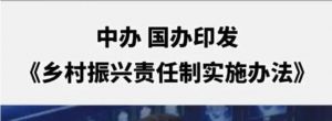 鄉(xiāng)村振興責任制實施辦法
