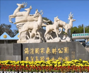 秦皇島野生動(dòng)物園