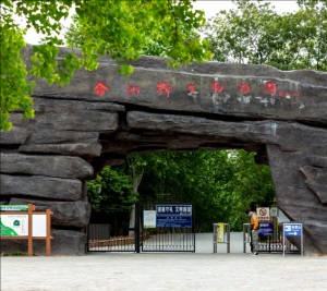 合肥野生動(dòng)物園