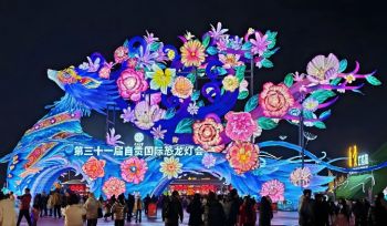 第三十一屆自貢國(guó)際恐龍燈會(huì)
