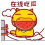 八卦掌門人
